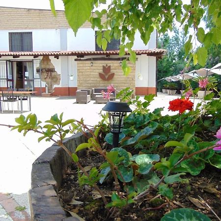Casale Rurale Bed & Breakfast San Marco Evangelista ภายนอก รูปภาพ
