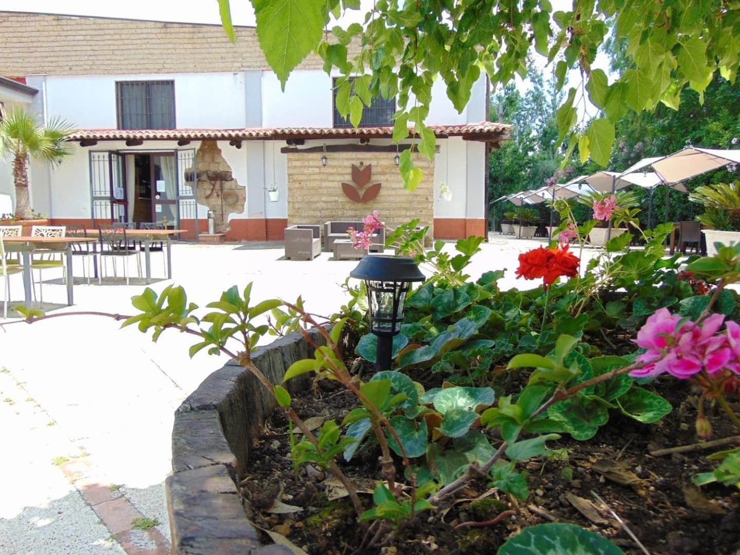 Casale Rurale Bed & Breakfast San Marco Evangelista ภายนอก รูปภาพ
