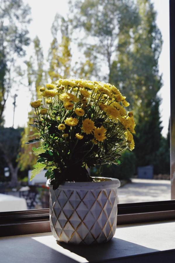 Casale Rurale Bed & Breakfast San Marco Evangelista ภายนอก รูปภาพ